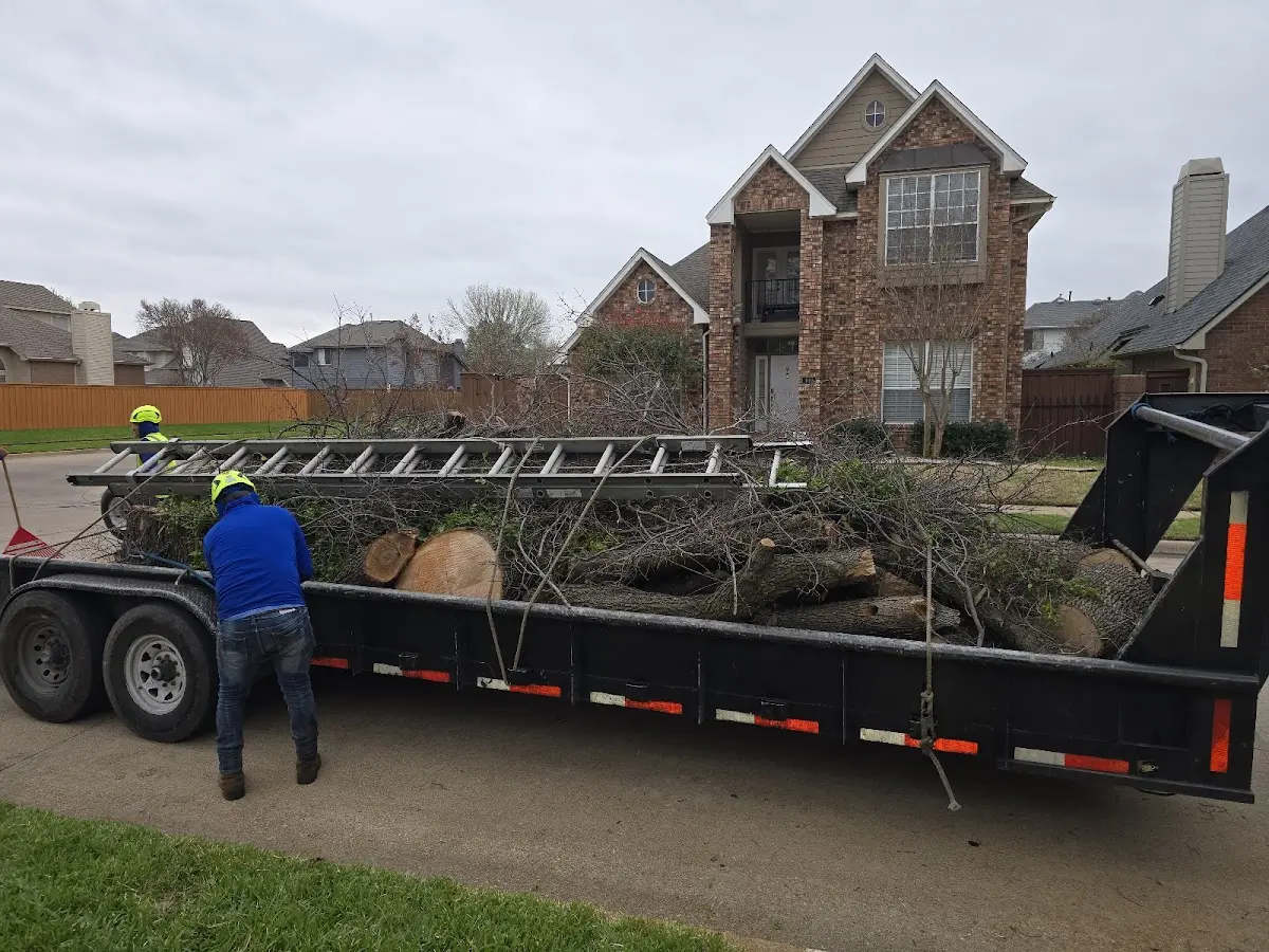 Expert Deadwooding with proper safety equipment in New Richmond
